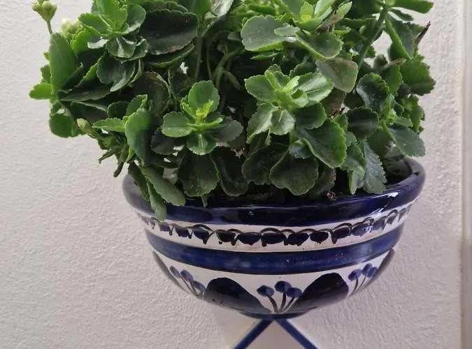 Canneto Blu شقة ليباري